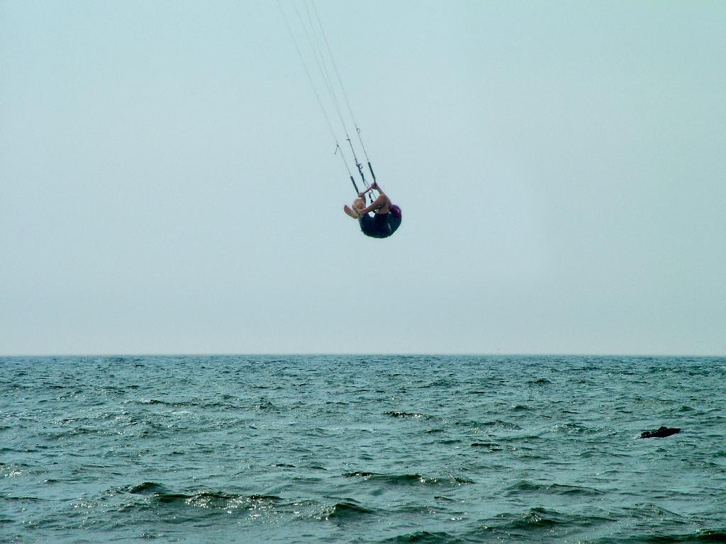 Click now to see this image full size.