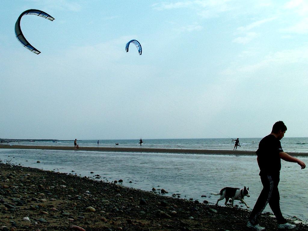 Click now to see this image full size.