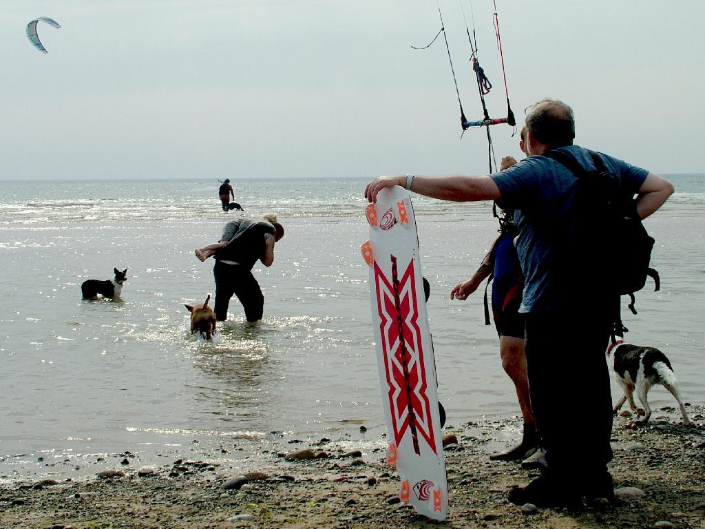 Click now to see this image full size.