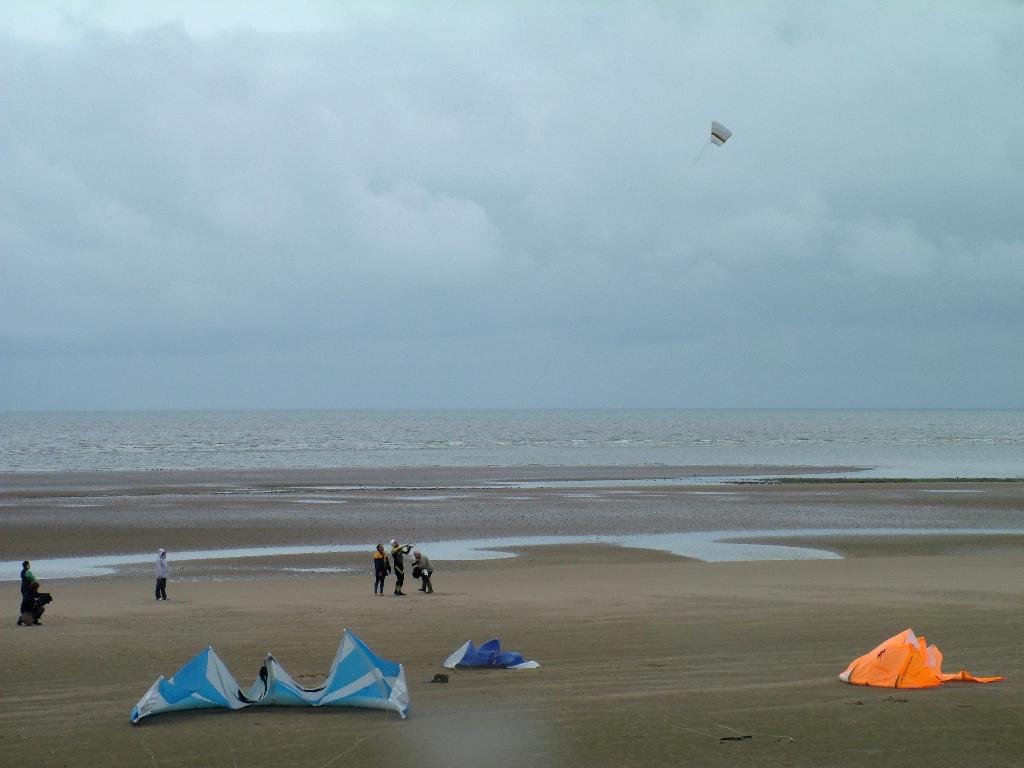 Click now to see this image full size.