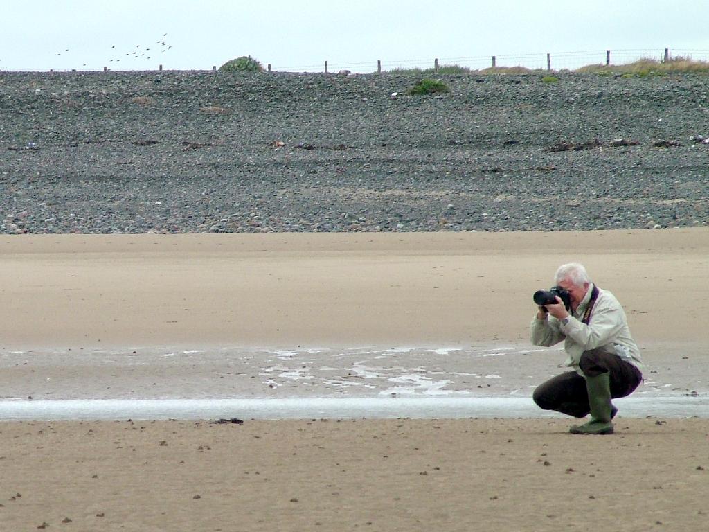 Click now to see this image full size.