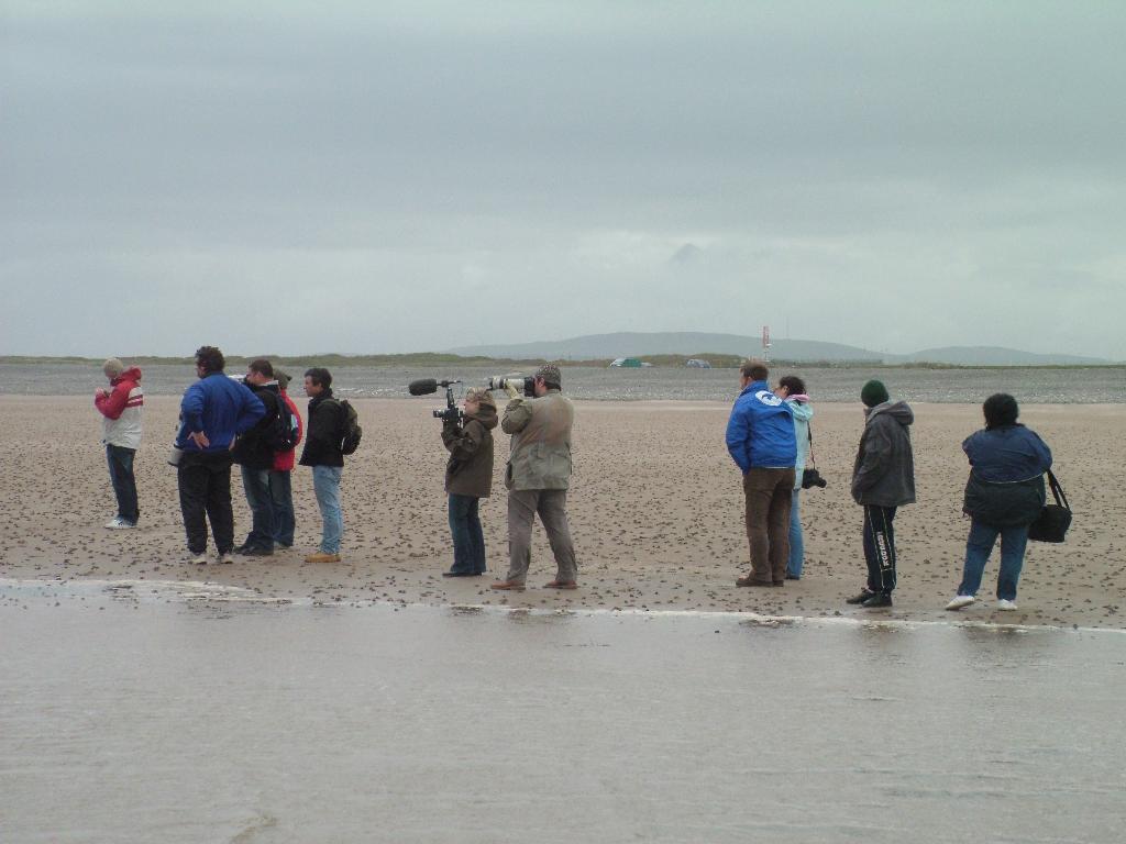 Click now to see this image full size.