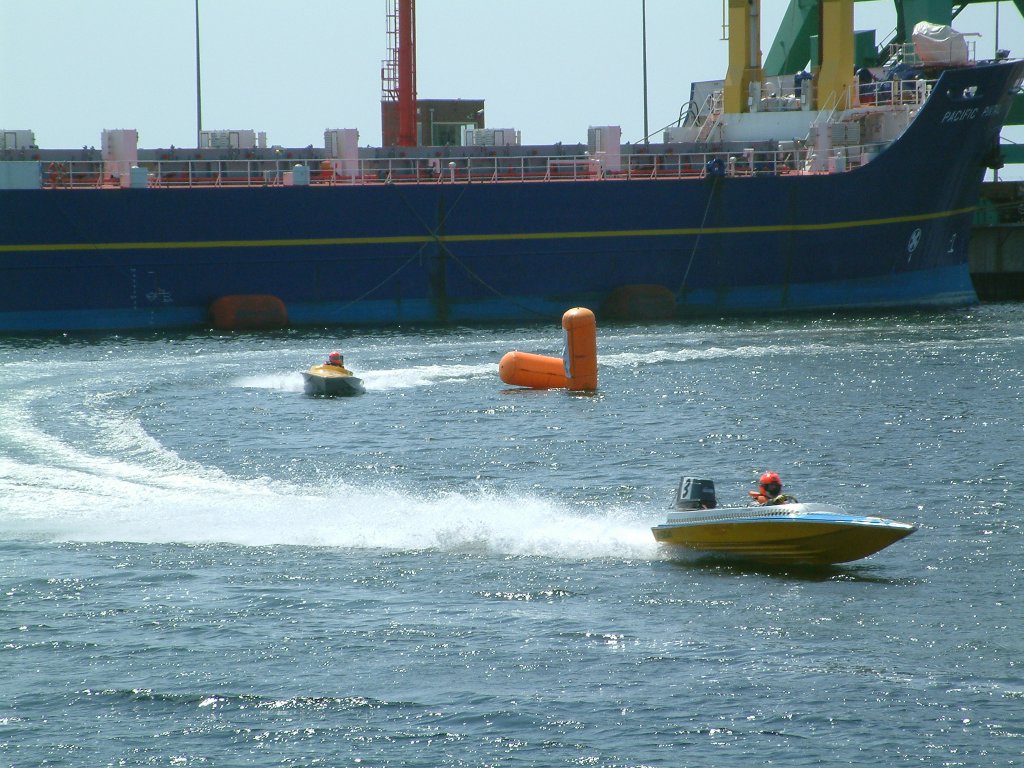 Click now to see this image full size.