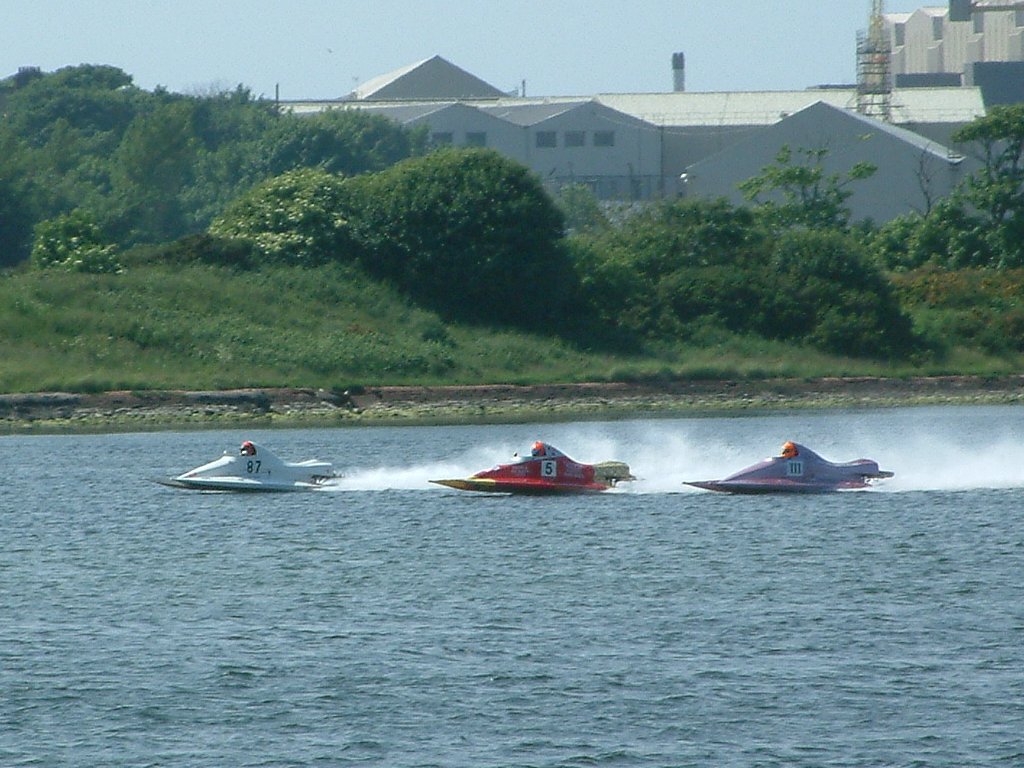 Click now to see this image full size.