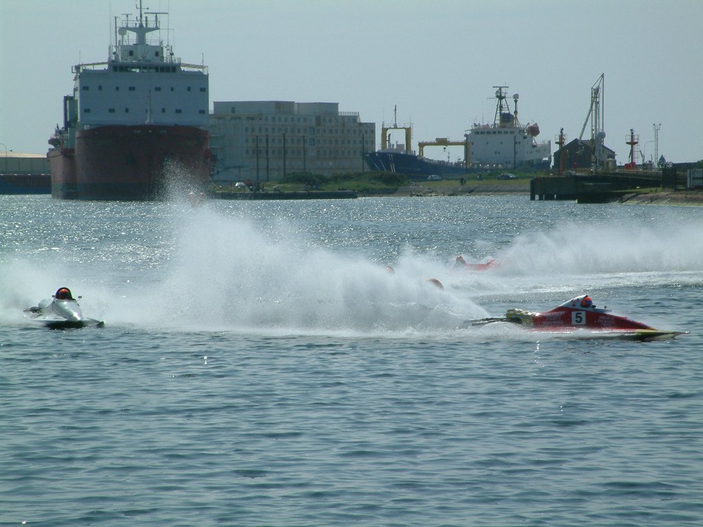 Click now to see this image full size.