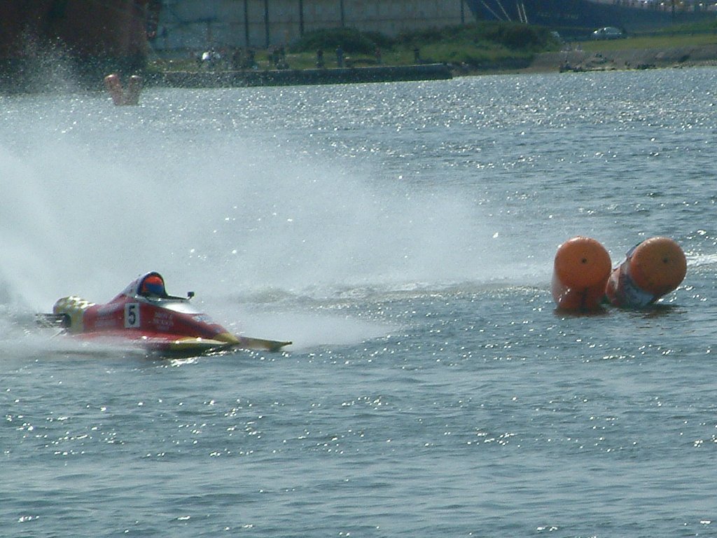 Click now to see this image full size.