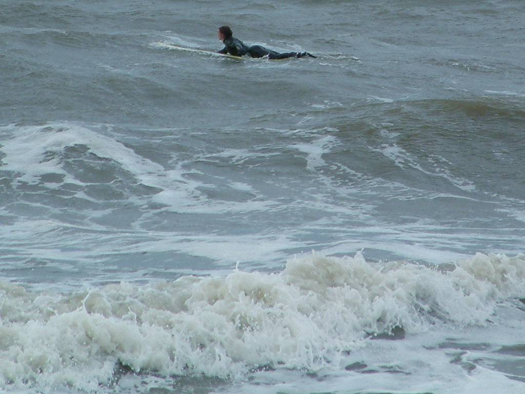 Click now to see this image full size.