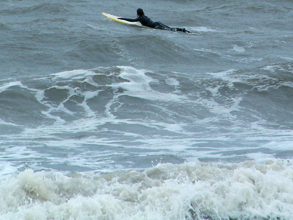 Click now to see this image full size.