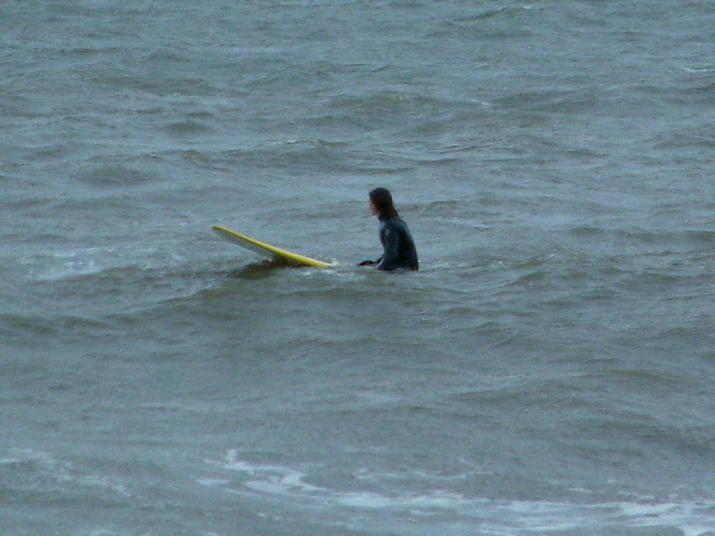 Click now to see this image full size.