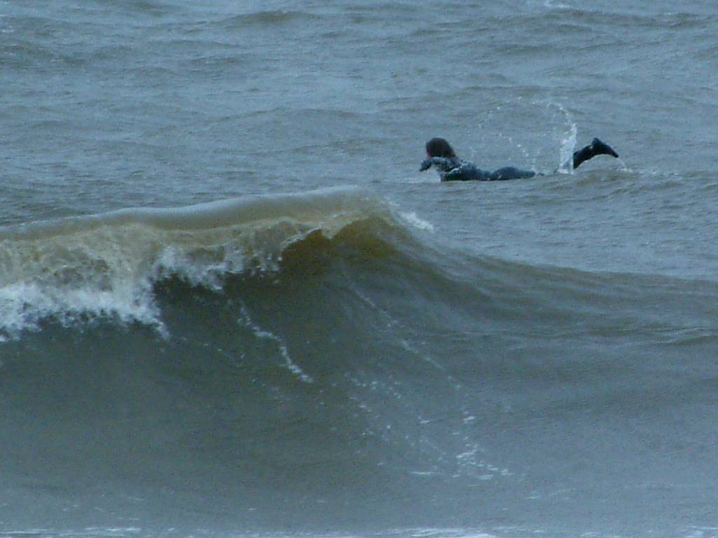 Click now to see this image full size.