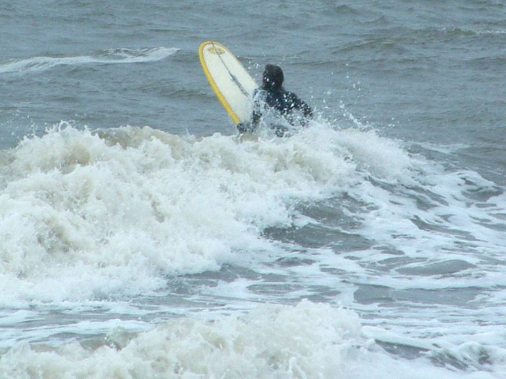 Click now to see this image full size.