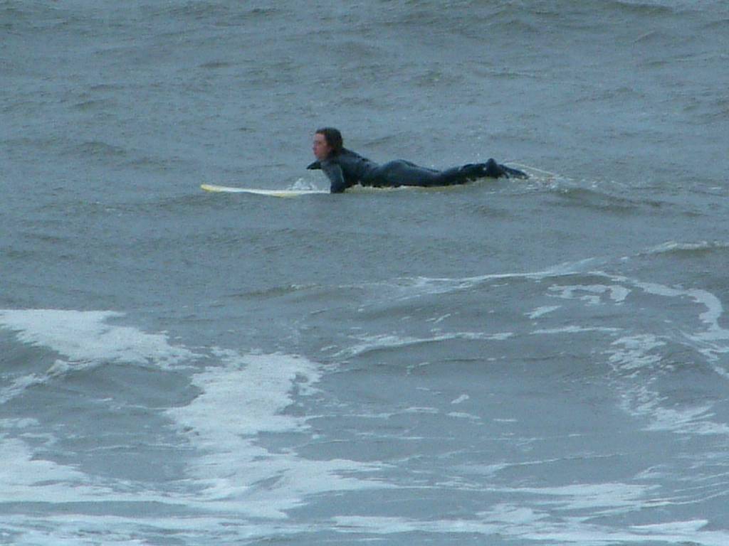 Click now to see this image full size.