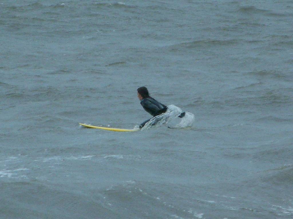 Click now to see this image full size.