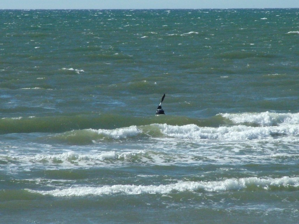 Click now to see this image full size.