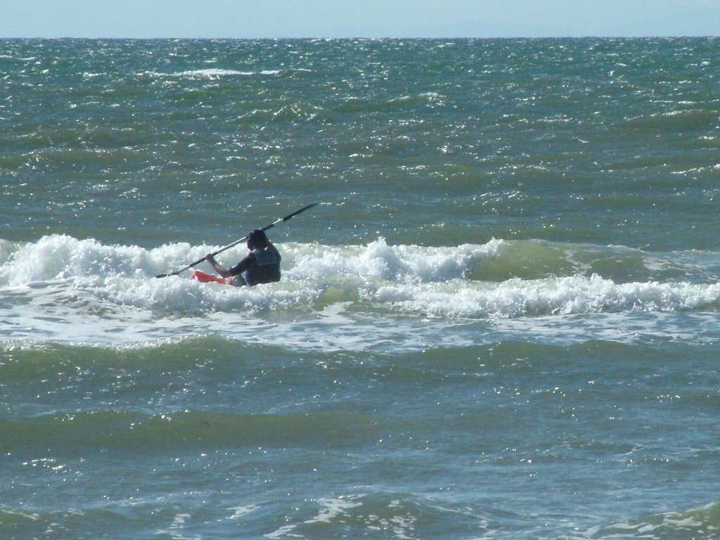 Click now to see this image full size.