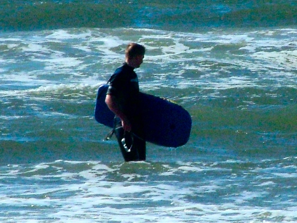 Click now to see this image full size.