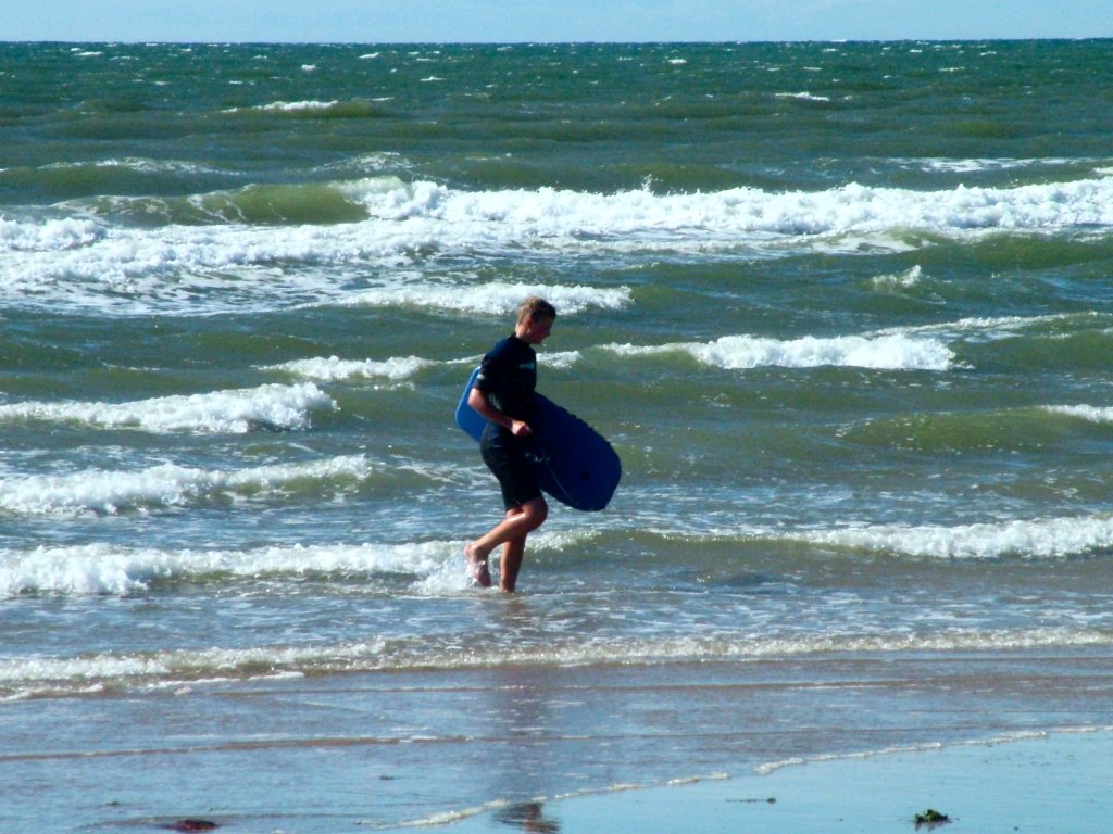 Click now to see this image full size.