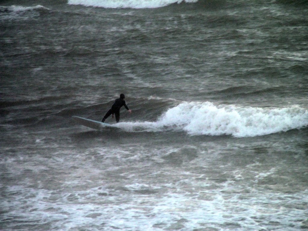 Click now to see this image full size.