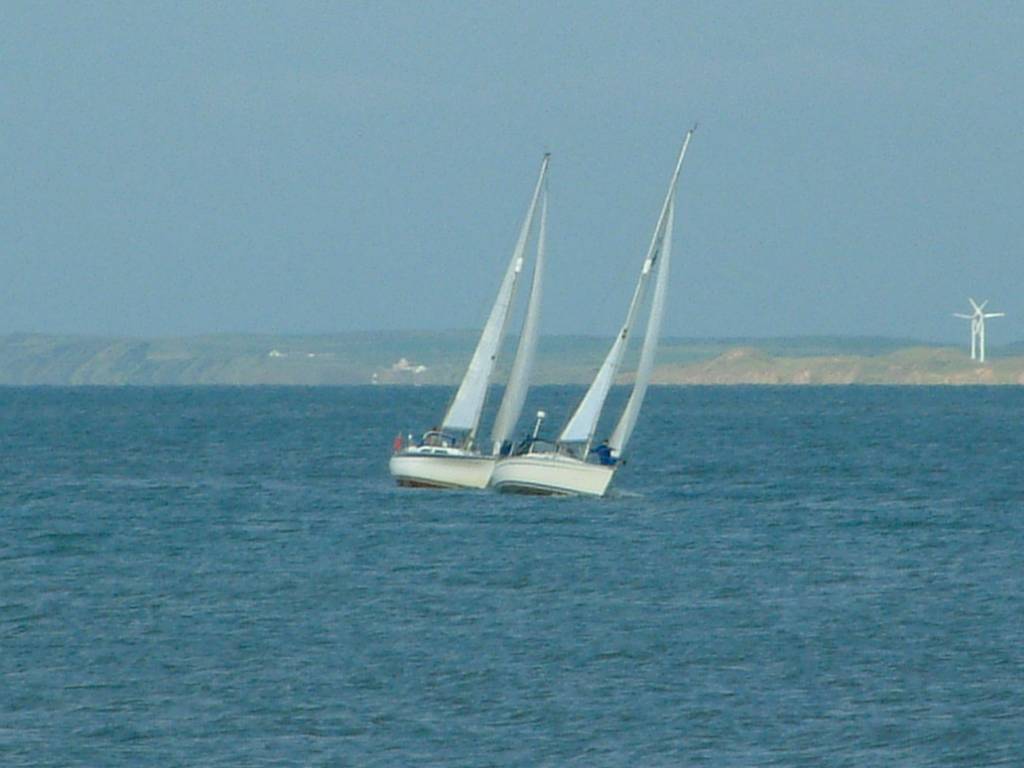 Click now to see this image full size.