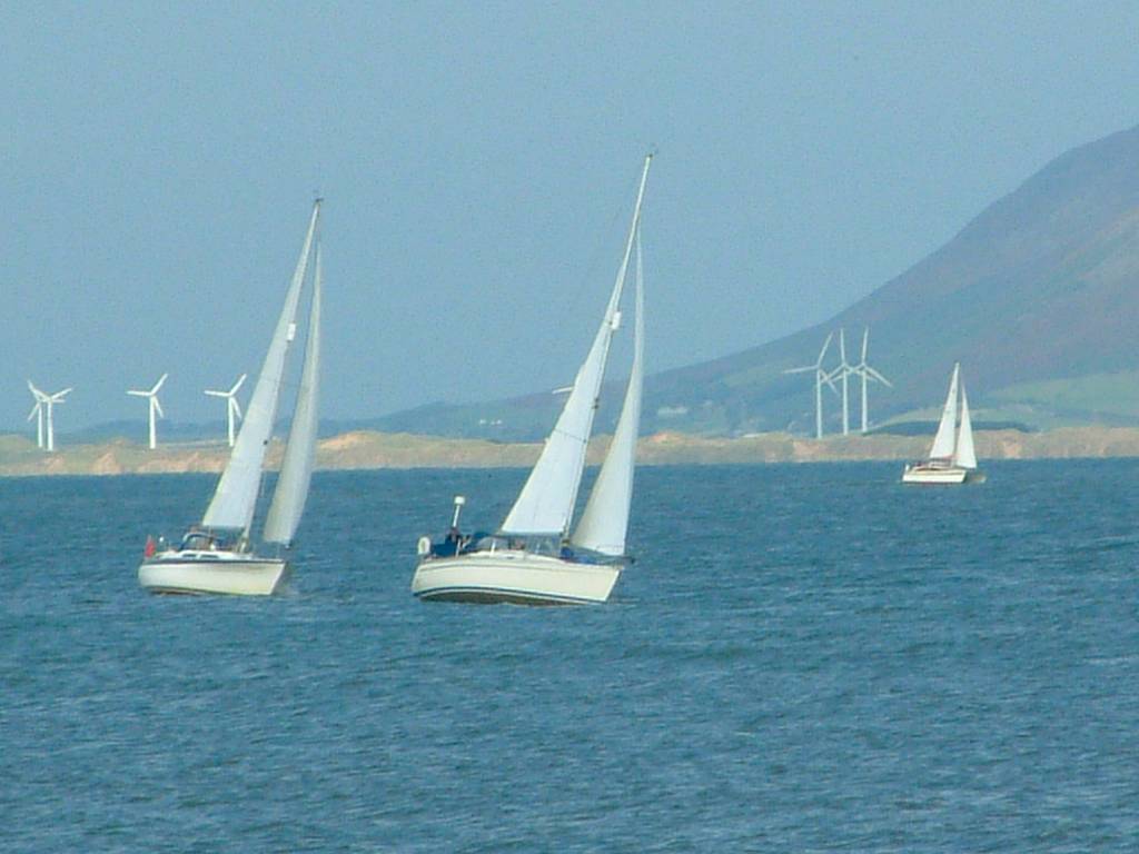 Click now to see this image full size.