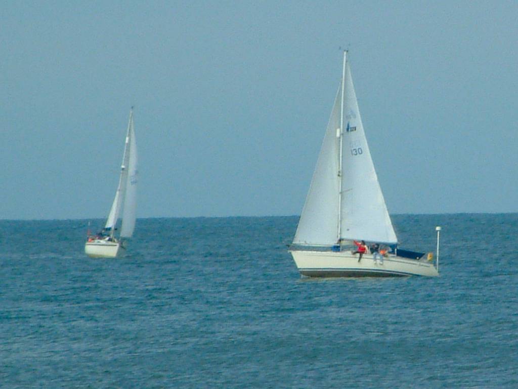 Click now to see this image full size.