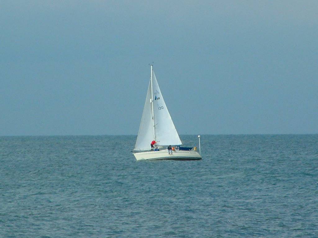 Click now to see this image full size.