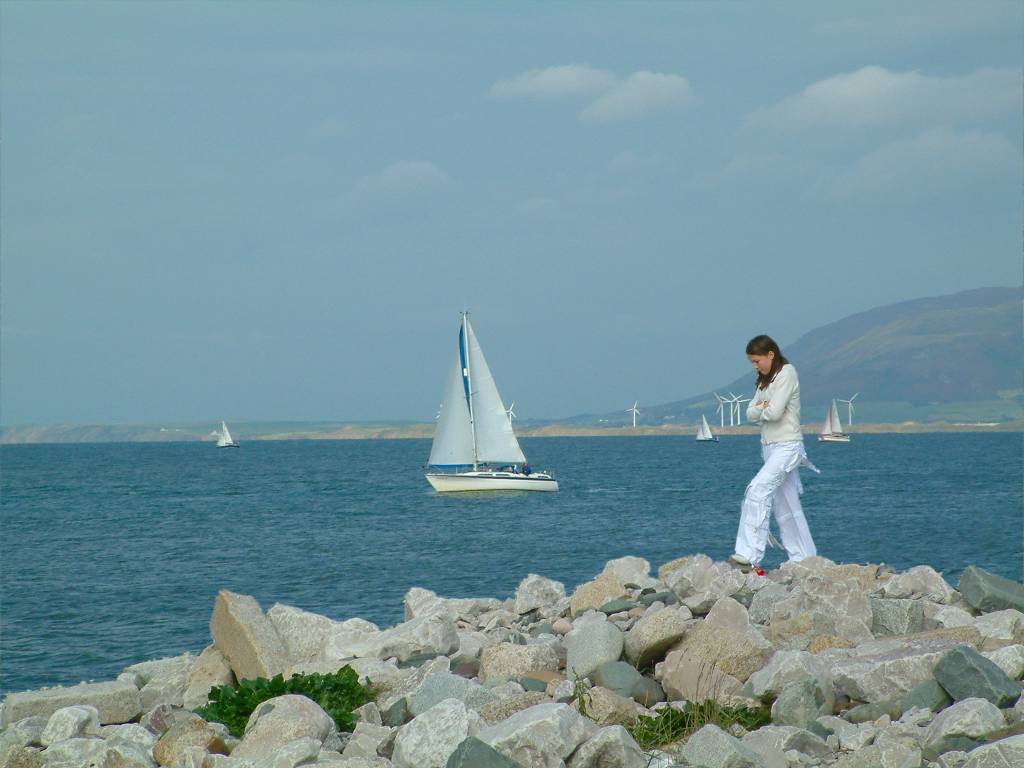 Click now to see this image full size.