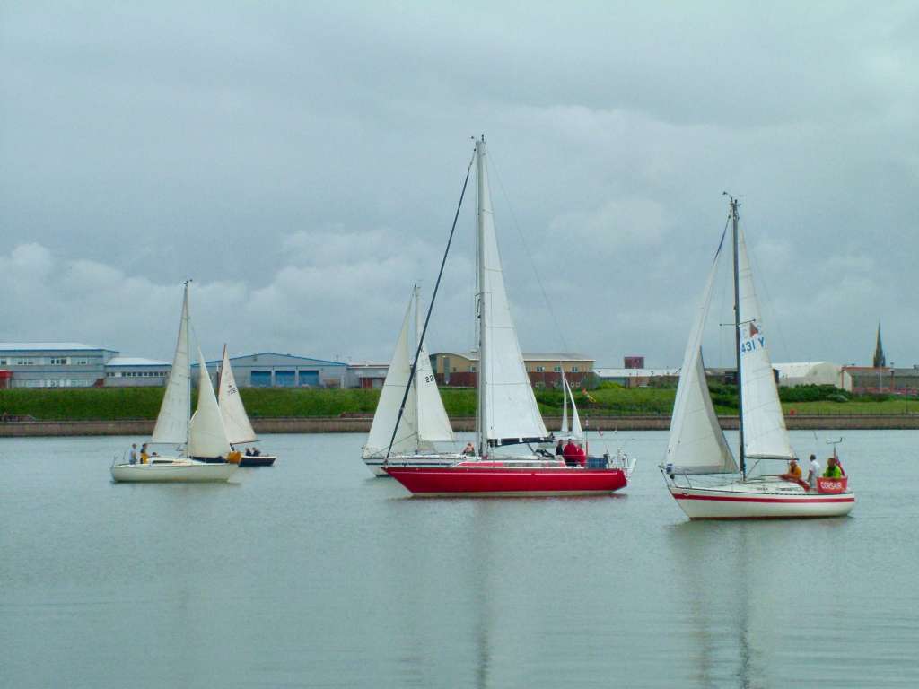 Click now to see this image full size.