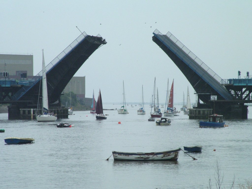 Click now to see this image full size.