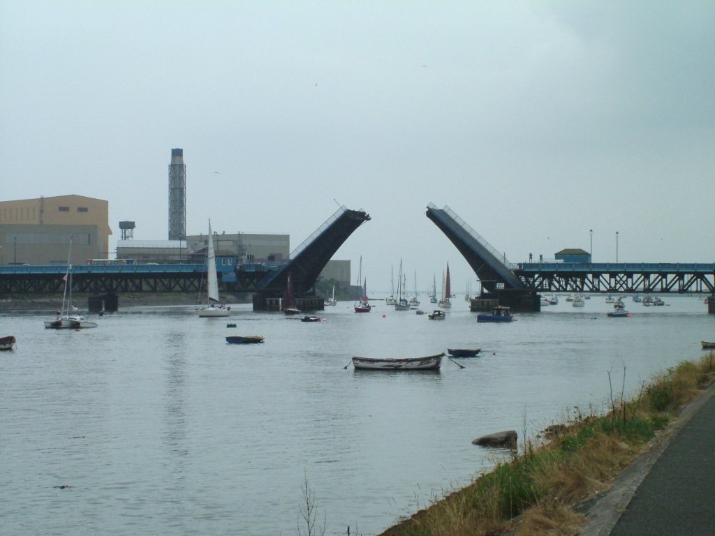 Click now to see this image full size.