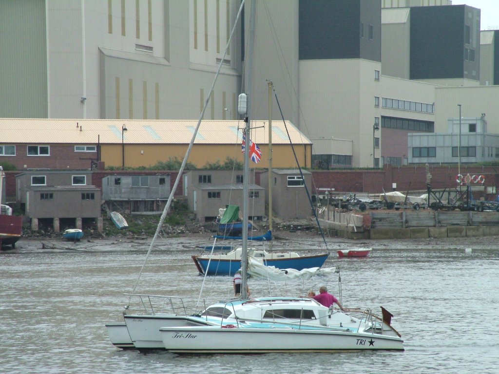 Click now to see this image full size.