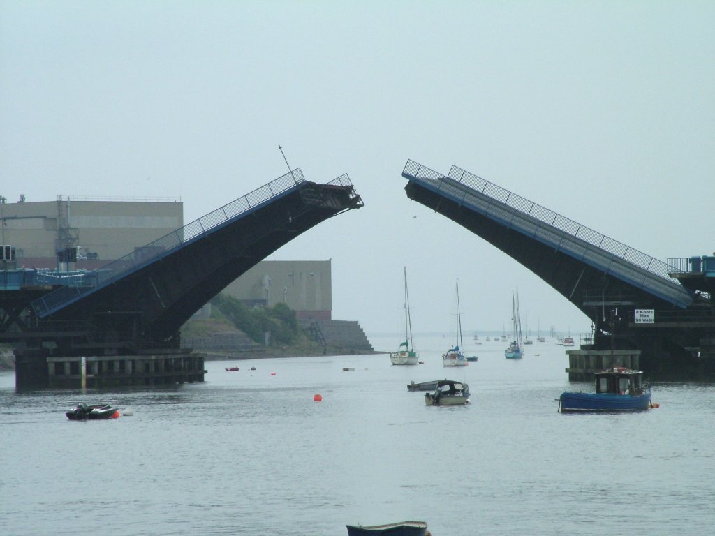 Click now to see this image full size.