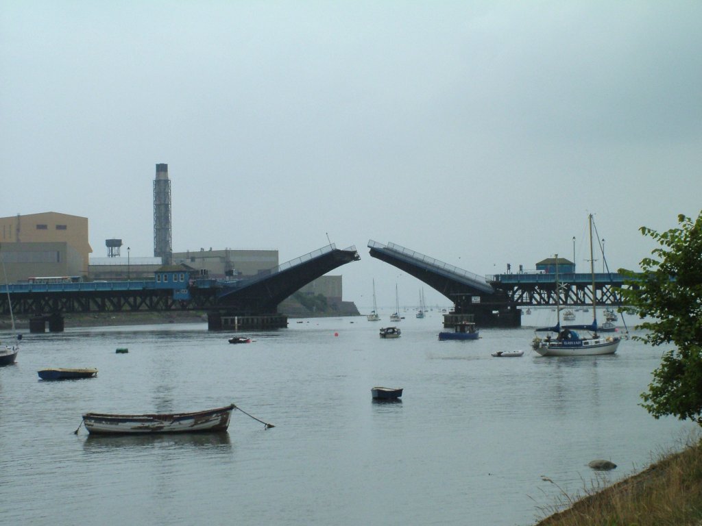 Click now to see this image full size.