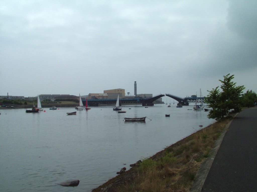 Click now to see this image full size.