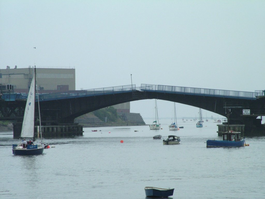 Click now to see this image full size.