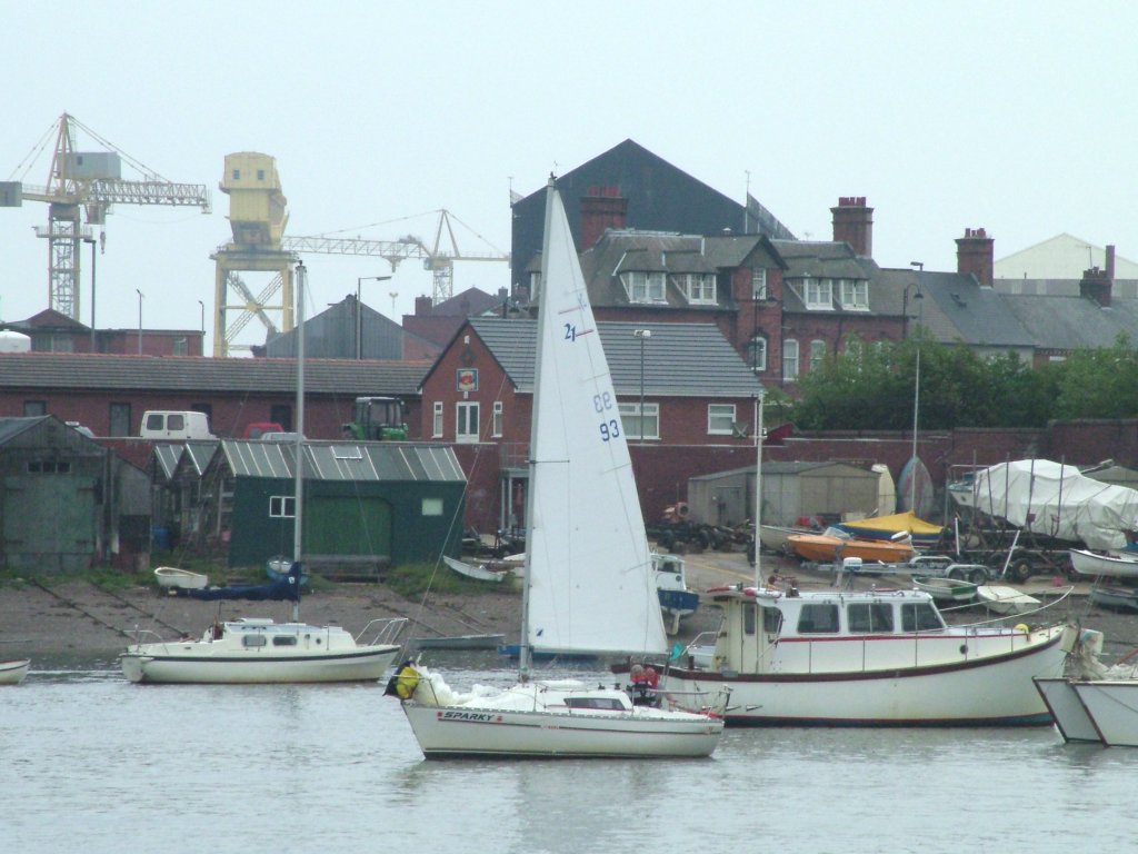 Click now to see this image full size.