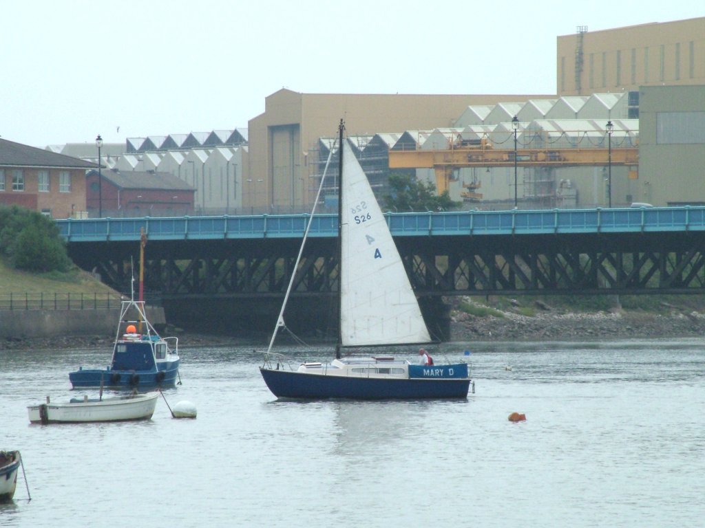 Click now to see this image full size.