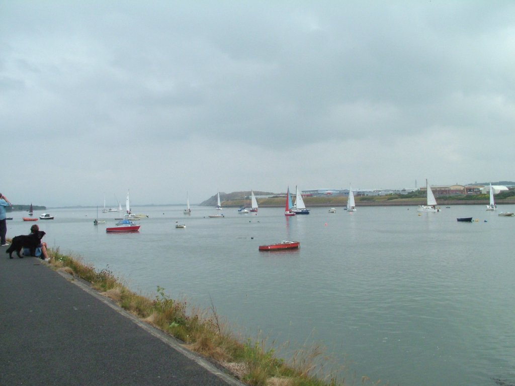 Click now to see this image full size.