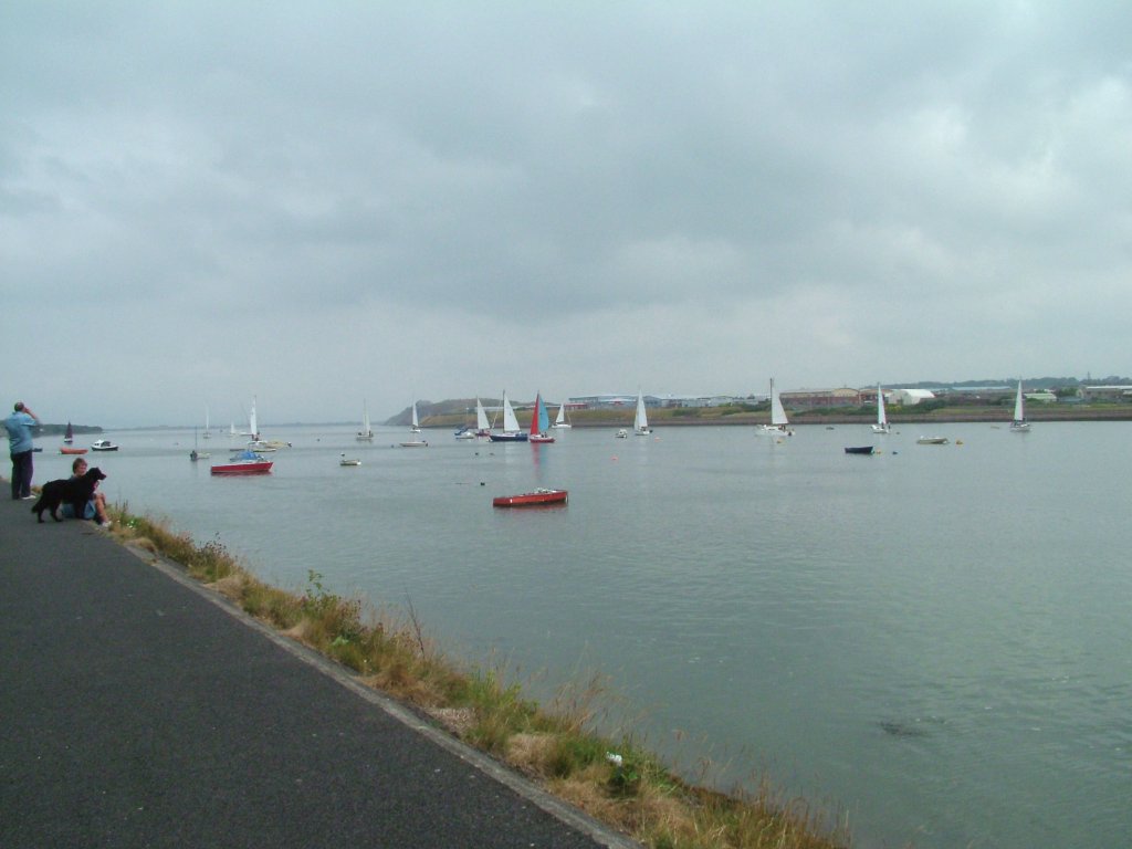 Click now to see this image full size.