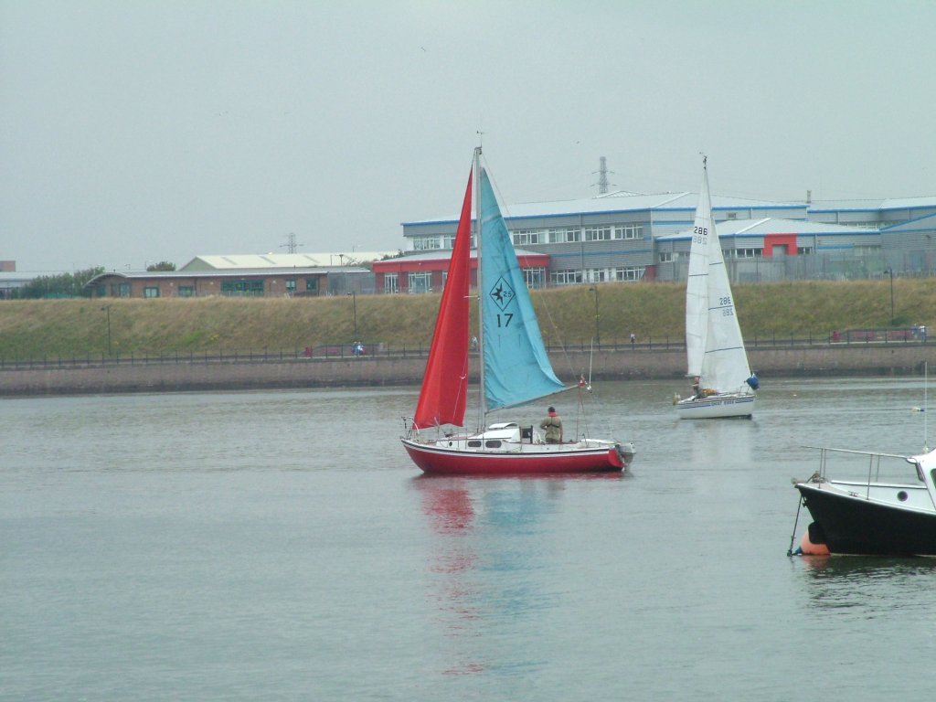 Click now to see this image full size.