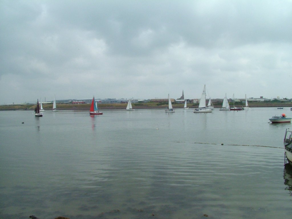 Click now to see this image full size.