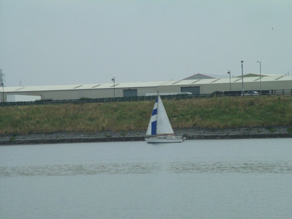 Click now to see this image full size.