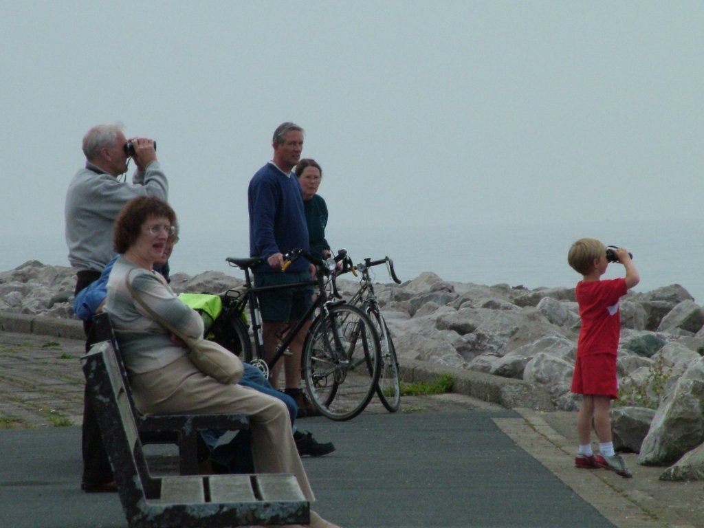 Click now to see this image full size.