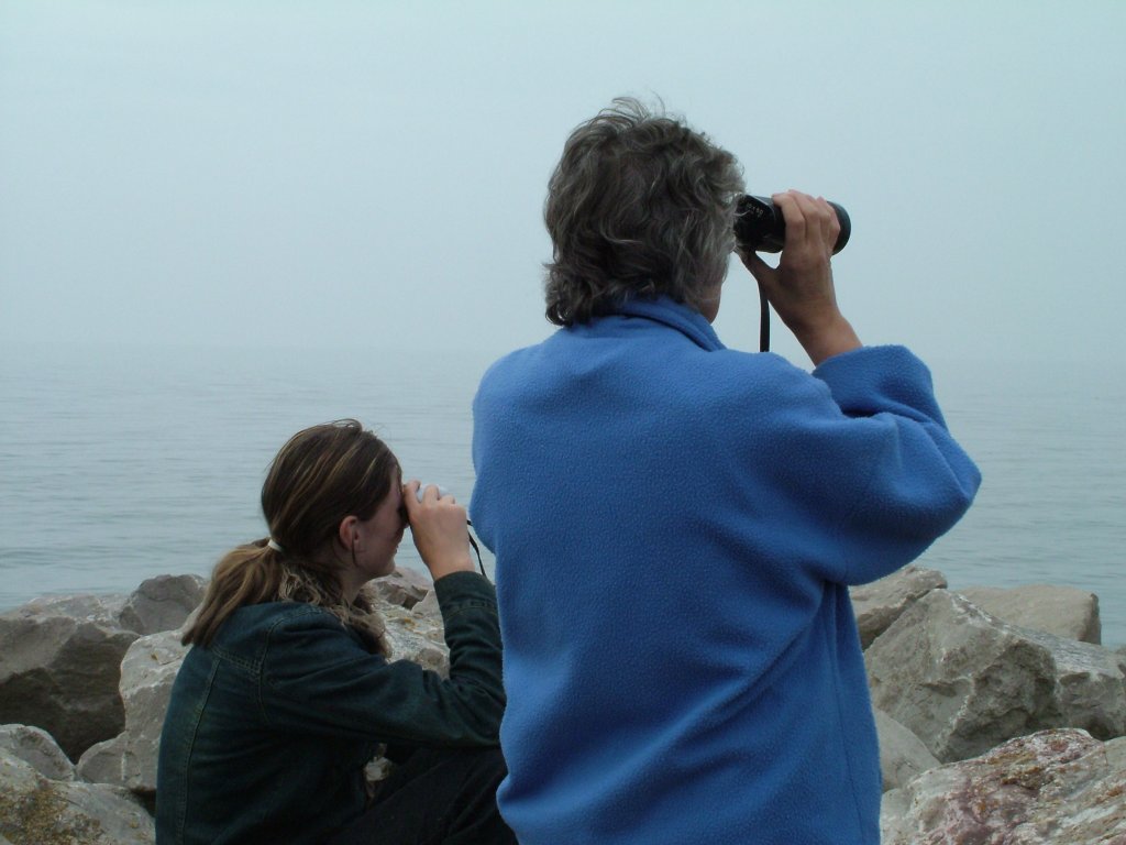 Click now to see this image full size.