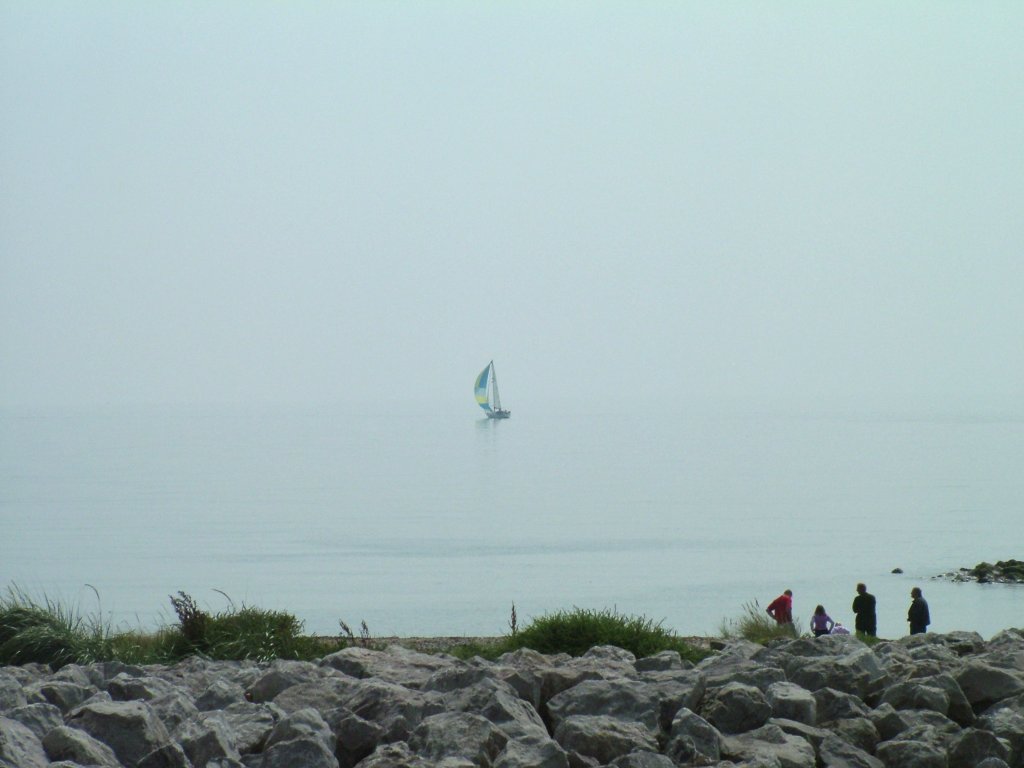 Click now to see this image full size.