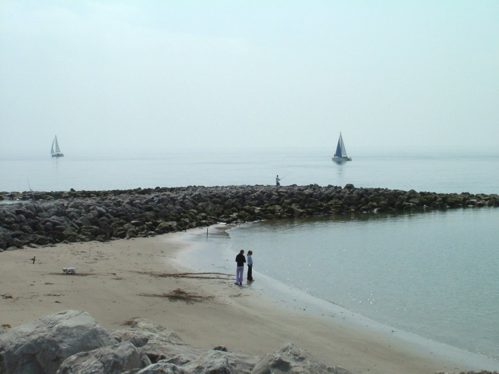 Click now to see this image full size.