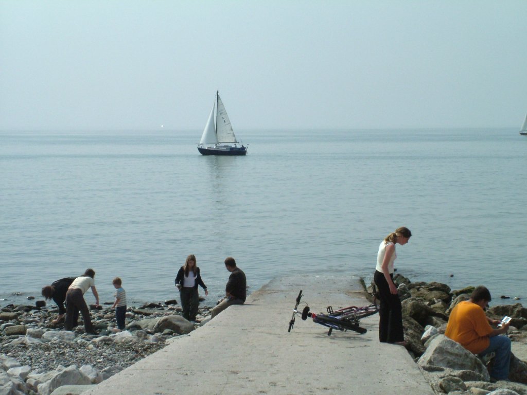 Click now to see this image full size.