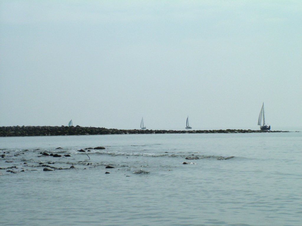 Click now to see this image full size.