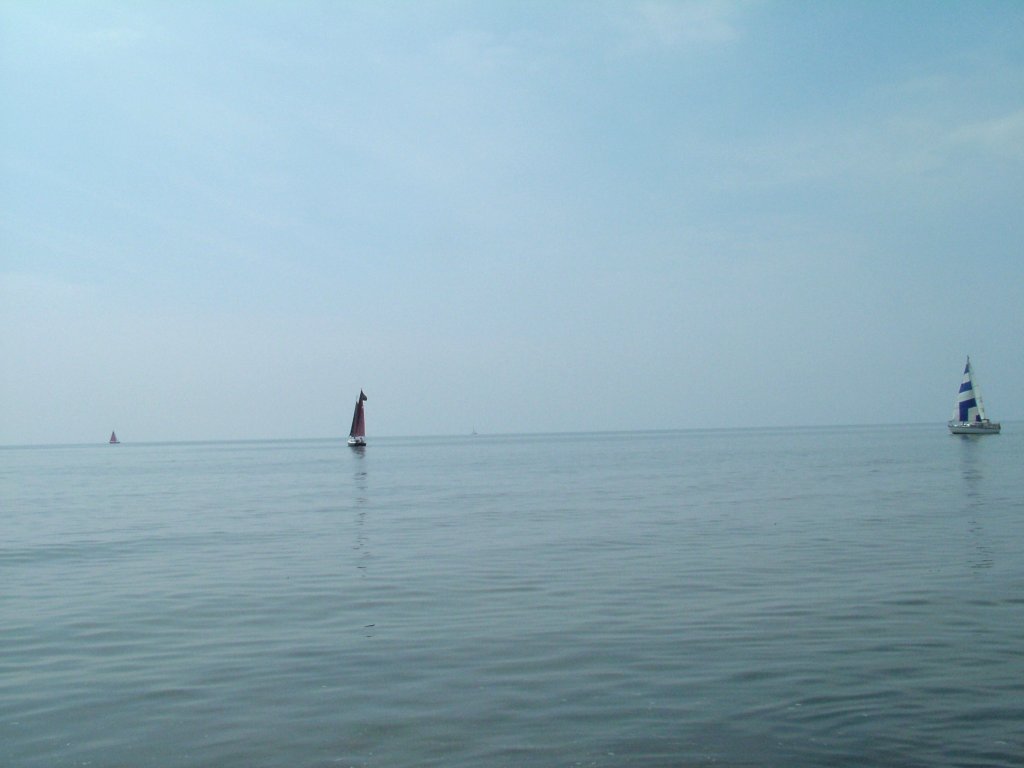 Click now to see this image full size.