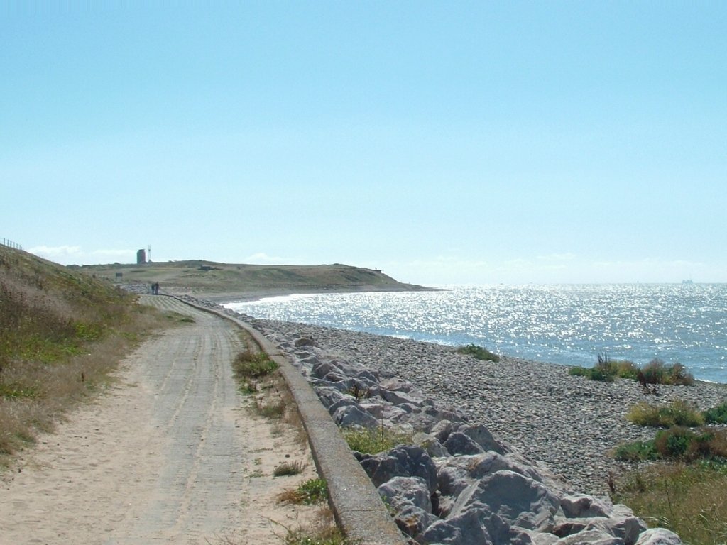 Click now to see this image full size.